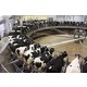 Imagine anunţ Muncitor la ferma de lactate, 2200 Euro, Irlanda