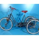 Imagine anunţ Tricicleta ortopedica second hand Wulfhorst 24/24-1440 lei