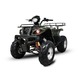 Imagine anunţ ATV Yamaha NOILE Modele 150,200,250 BEMI 2 locuri adulti