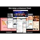 Imagine anunţ Web design professional Pitesti | servicii web design