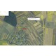Imagine anunţ Teren 5.000 mp, Balta Doamnei, jud. Prahova