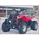 Imagine anunţ Noile Modele ATV BEMI 2020 cu 2 locuri de adulti 150-250cc Wayne 999 euro