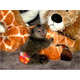 Imagine anunţ pui de maimuță marmoset cu degete inteligente de vânzare