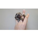 Imagine anunţ Uimitoare maimuțe marmoset de vânzare