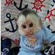 Imagine anunţ O maimuță capucină minunată disponibilă