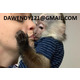 Imagine anunţ Pui de maimuță capucină sănătoasă de vânzare