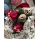Imagine anunţ Frumoase maimuțe capucine de vânzare
